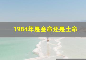 1984年是金命还是土命