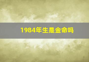 1984年生是金命吗