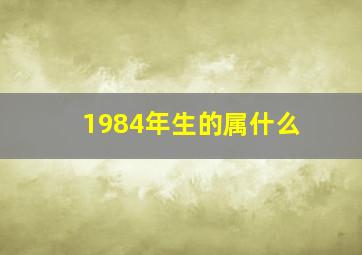 1984年生的属什么