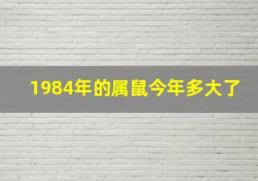 1984年的属鼠今年多大了