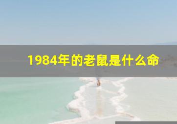 1984年的老鼠是什么命