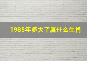 1985年多大了属什么生肖