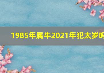 1985年属牛2021年犯太岁吗