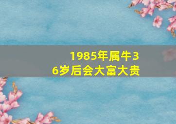 1985年属牛36岁后会大富大贵