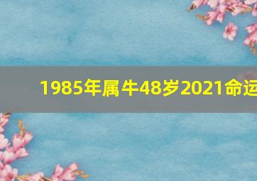 1985年属牛48岁2021命运