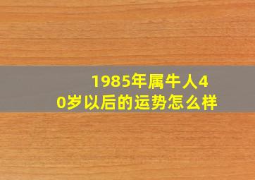 1985年属牛人40岁以后的运势怎么样