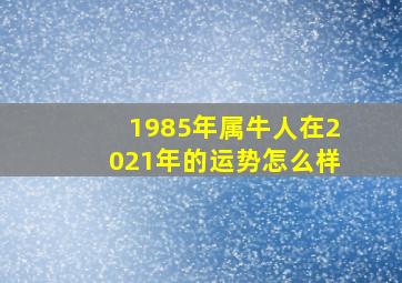 1985年属牛人在2021年的运势怎么样