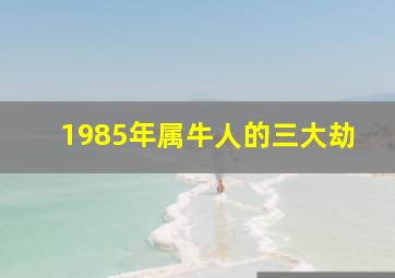 1985年属牛人的三大劫