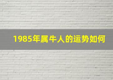 1985年属牛人的运势如何