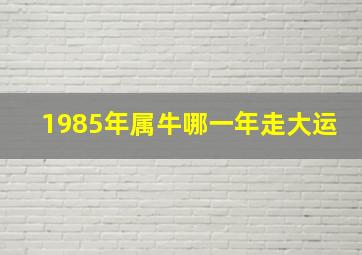 1985年属牛哪一年走大运