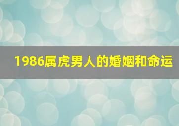 1986属虎男人的婚姻和命运