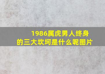 1986属虎男人终身的三大坎坷是什么呢图片