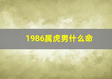 1986属虎男什么命