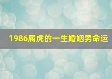 1986属虎的一生婚姻男命运