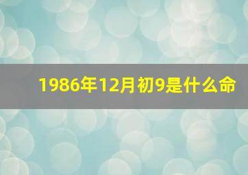 1986年12月初9是什么命