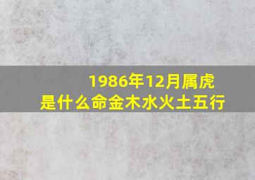 1986年12月属虎是什么命金木水火土五行