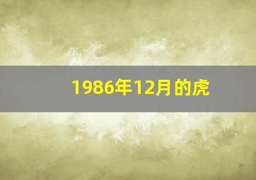 1986年12月的虎