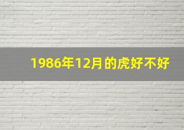 1986年12月的虎好不好