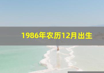 1986年农历12月出生