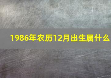 1986年农历12月出生属什么