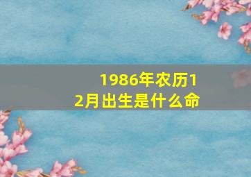 1986年农历12月出生是什么命