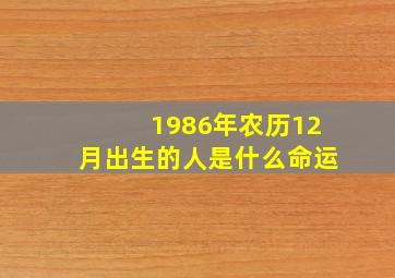 1986年农历12月出生的人是什么命运