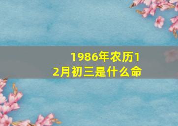 1986年农历12月初三是什么命