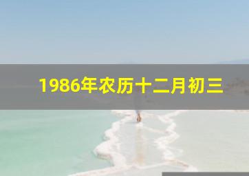 1986年农历十二月初三