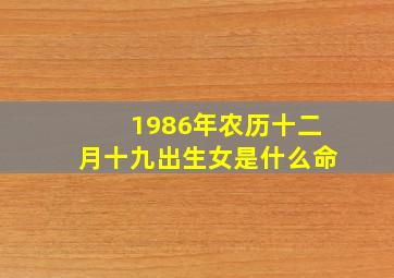 1986年农历十二月十九出生女是什么命