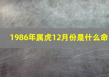 1986年属虎12月份是什么命