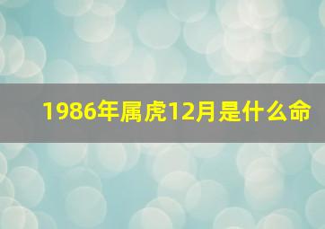 1986年属虎12月是什么命