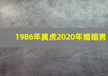 1986年属虎2020年婚姻男