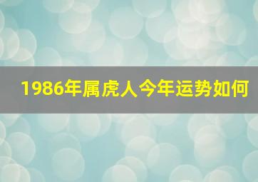 1986年属虎人今年运势如何