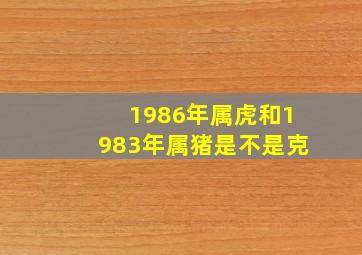 1986年属虎和1983年属猪是不是克