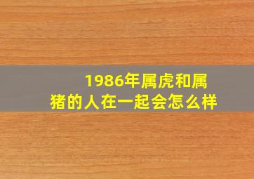 1986年属虎和属猪的人在一起会怎么样