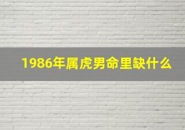 1986年属虎男命里缺什么