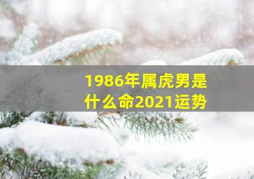 1986年属虎男是什么命2021运势