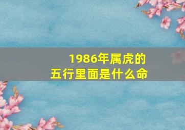 1986年属虎的五行里面是什么命