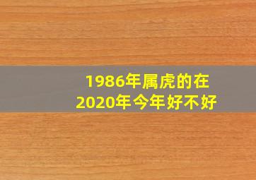 1986年属虎的在2020年今年好不好