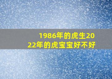 1986年的虎生2022年的虎宝宝好不好