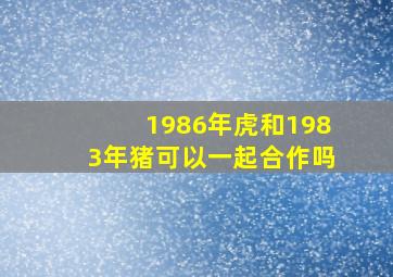 1986年虎和1983年猪可以一起合作吗