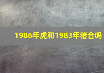 1986年虎和1983年猪合吗