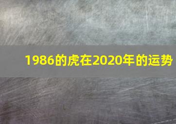 1986的虎在2020年的运势