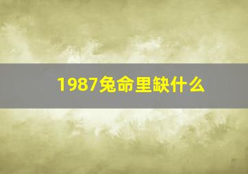 1987兔命里缺什么