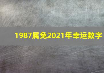 1987属兔2021年幸运数字