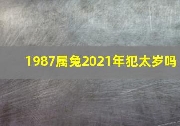 1987属兔2021年犯太岁吗