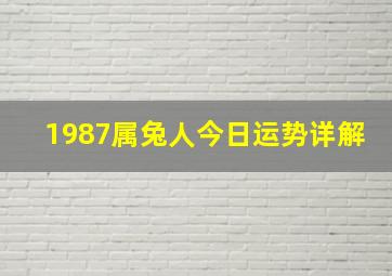 1987属兔人今日运势详解