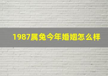 1987属兔今年婚姻怎么样