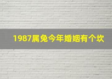 1987属兔今年婚姻有个坎