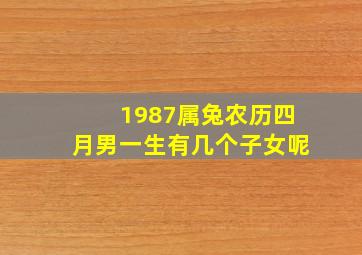 1987属兔农历四月男一生有几个子女呢